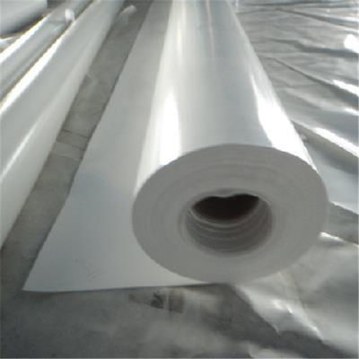 comprar OS PVDC do PVC aderem-se linha moldada empacotamento da extrusão do filme de alimento de 250kg H online manufacture